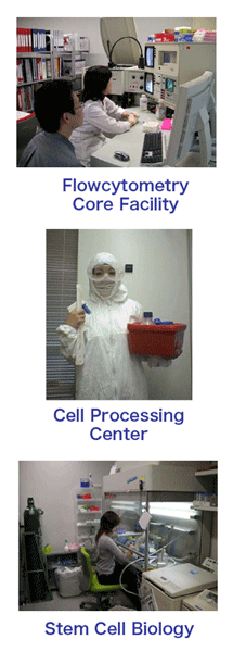 flowlab.gif